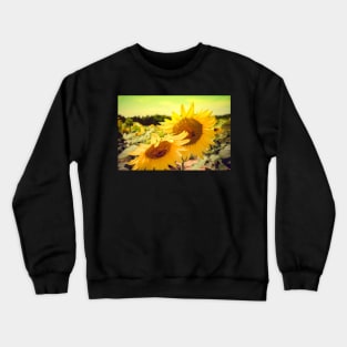 Summer Sunshine Sunflower Crewneck Sweatshirt